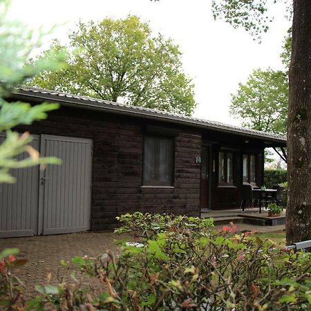 Chalet Les Brulins Hotel Resteigne Bagian luar foto